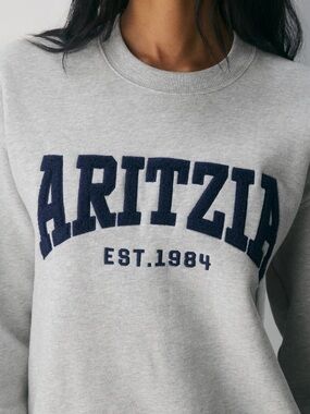 Aritzia Light Grey Sweatshirt with Navy Logo
